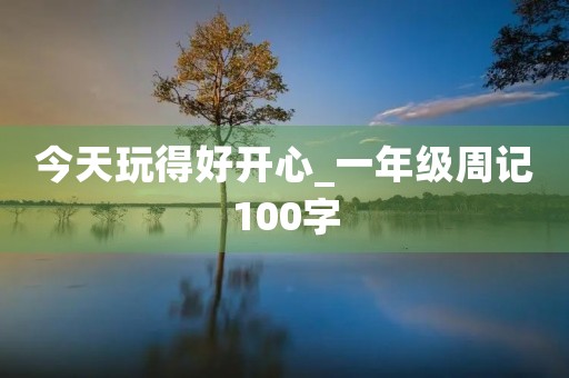 今天玩得好开心_一年级周记100字