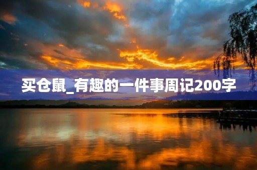 买仓鼠_有趣的一件事周记200字