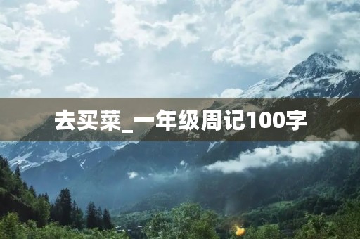 去买菜_一年级周记100字