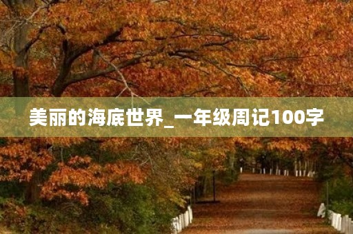 美丽的海底世界_一年级周记100字