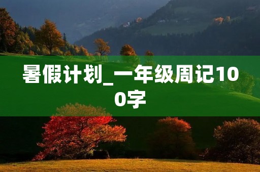 暑假计划_一年级周记100字