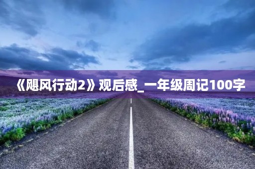 《飓风行动2》观后感_一年级周记100字