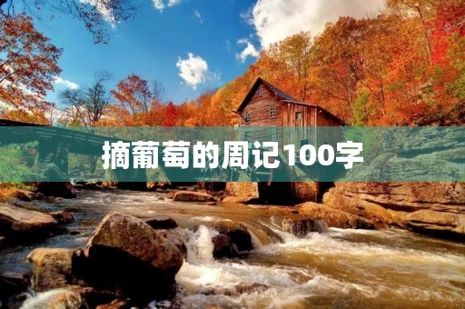 摘葡萄的周记100字