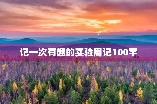记一次有趣的实验周记100字