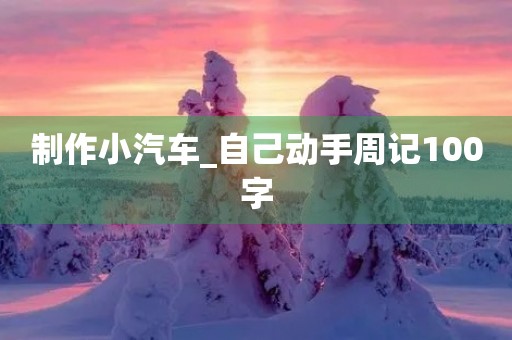 制作小汽车_自己动手周记100字