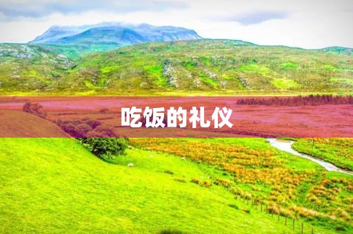 吃饭的礼仪