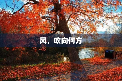 风,吹向何方 风,吹向何方