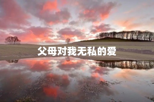 父母对我无私的爱