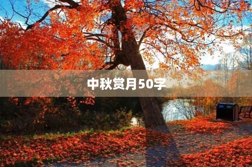 中秋赏月50字