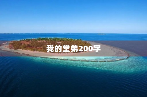 我的堂弟200字