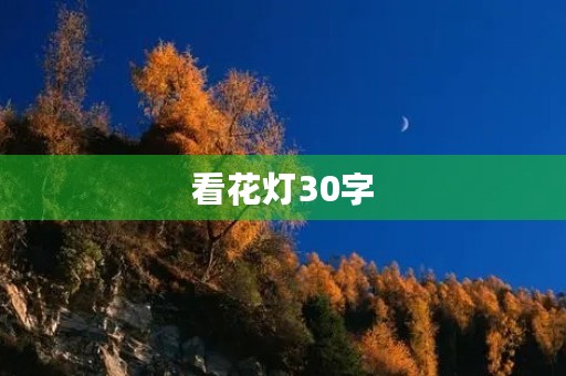 看花灯30字