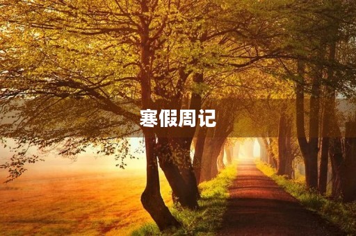 寒假周记