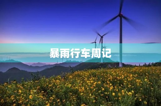 暴雨行车周记 暴雨行车周记