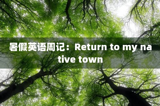 暑假英语周记：Return to my native town