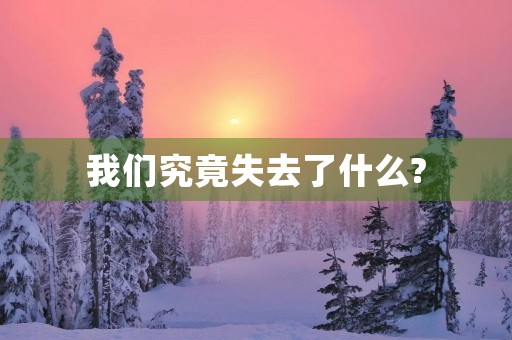 我们究竟失去了什么? 我们究竟失去了什么?