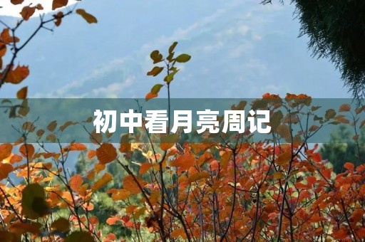 初中看月亮周记 初中看月亮周记