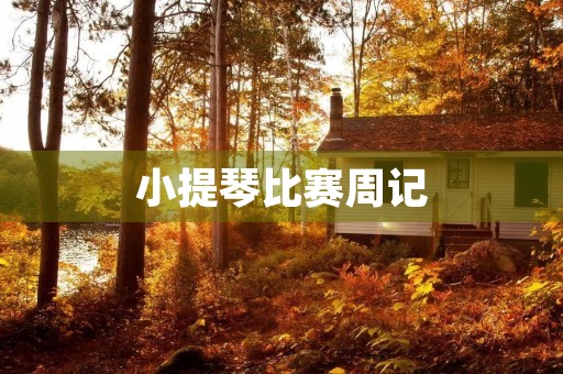 小提琴比赛周记 小提琴比赛周记