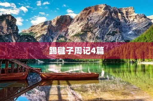 踢毽子周记4篇 踢毽子周记4篇