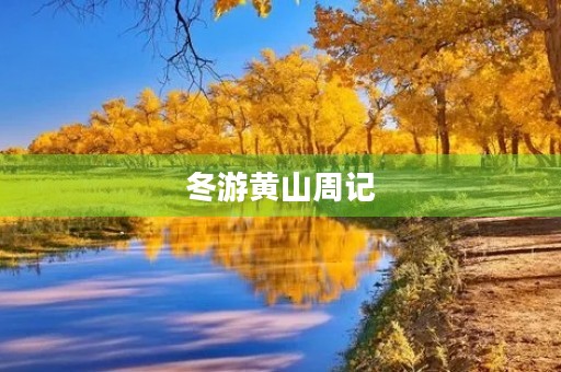 冬游黄山周记 冬游黄山周记