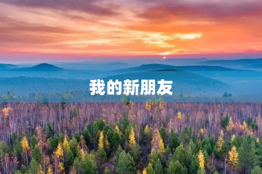 我的新朋友 我的新朋友
