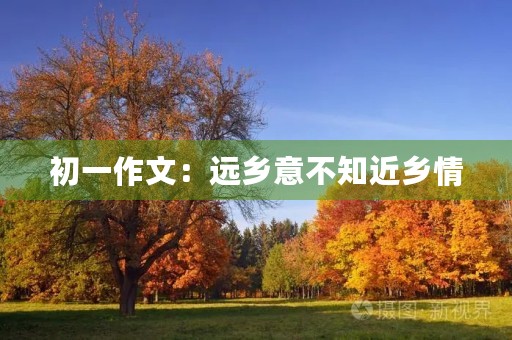 初一作文:远乡意不知近乡情 初一作文:远乡意不知近乡情