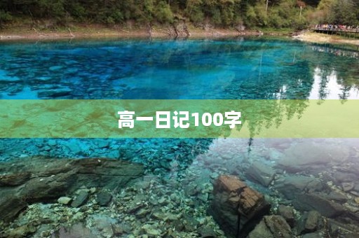 高一日记100字