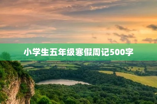 小学生五年级寒假周记500字 小学生五年级寒假周记500字