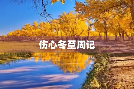伤心冬至周记