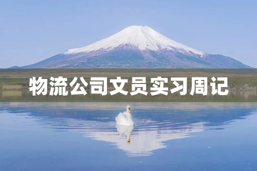 物流公司文员实习周记