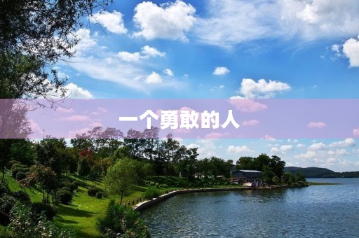 一个勇敢的人 一个勇敢的人