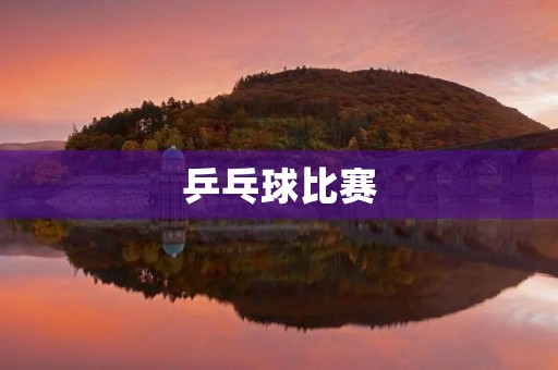 乒乓球比赛 乒乓球比赛