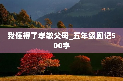 我懂得了孝敬父母_五年级周记500字