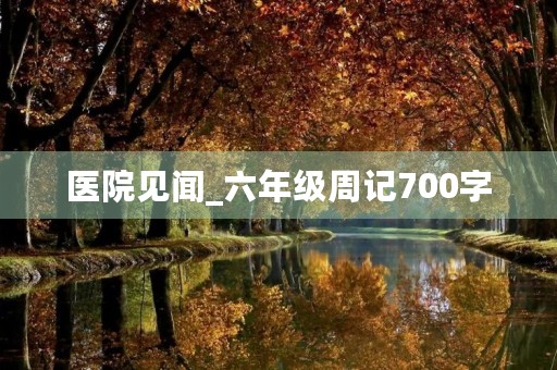 医院见闻_六年级周记700字 医院见闻_六年级周记700字