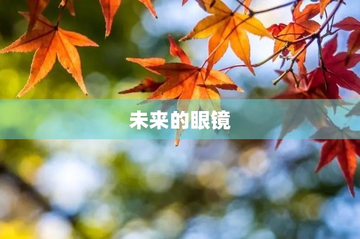 未来的眼镜 未来的眼镜