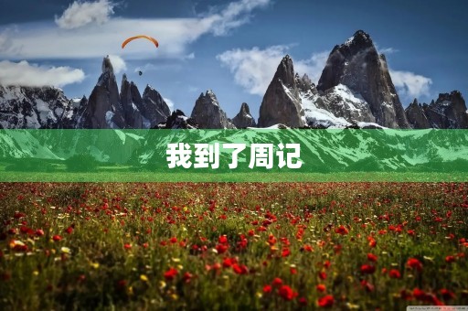 我到了周记