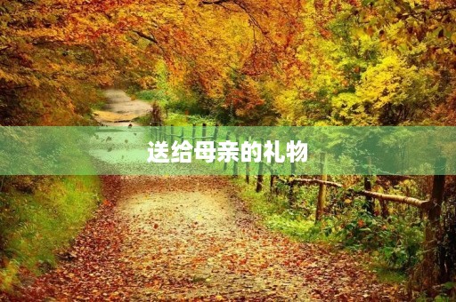送给母亲的礼物 送给母亲的礼物