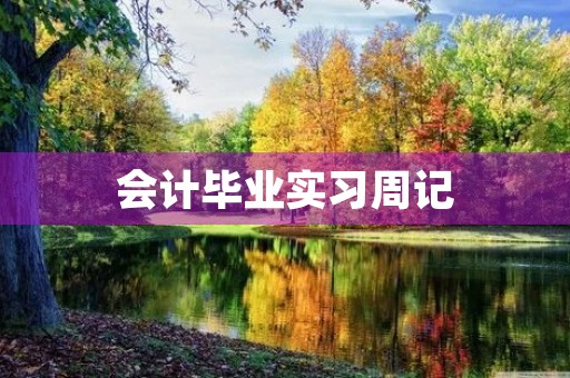 会计毕业实习周记 会计毕业实习周记