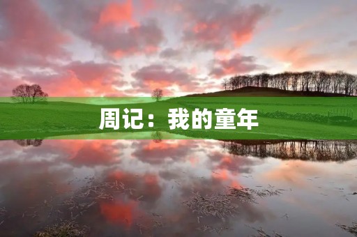 周记:我的童年 周记:我的童年