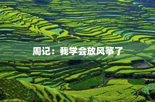 周记:我学会放风筝了 周记:我学会放风筝了