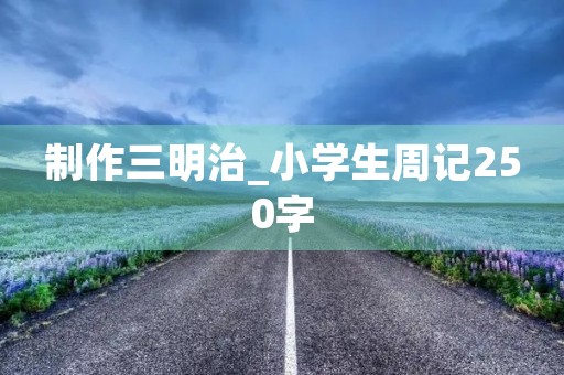制作三明治_小学生周记250字 制作三明治_小学生周记250字