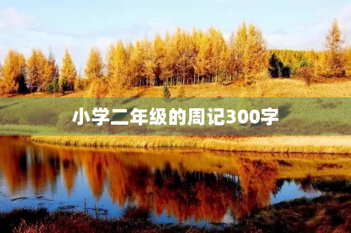 小学二年级的周记300字