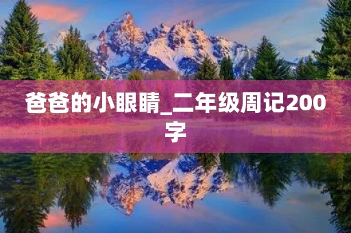 爸爸的小眼睛_二年级周记200字