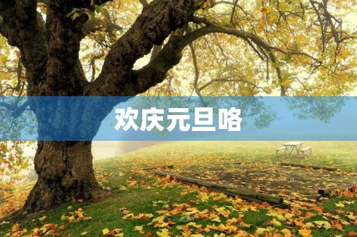 欢庆元旦咯