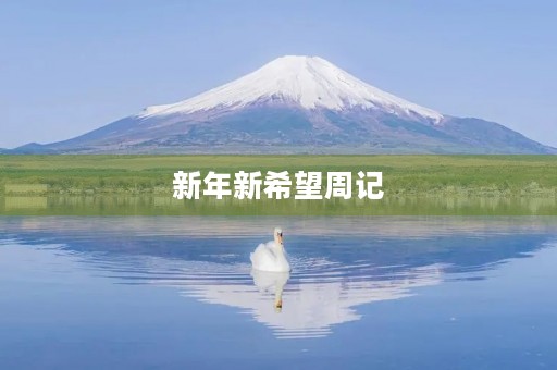 新年新希望周记 新年新希望周记
