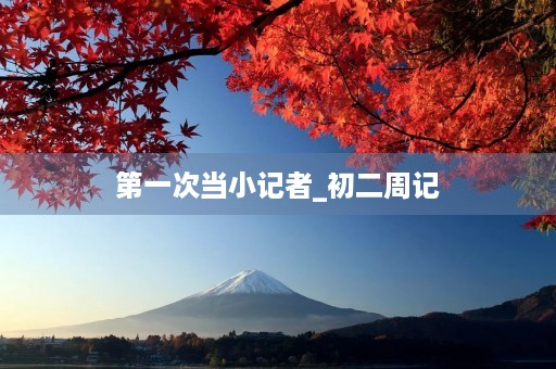 第一次当小记者_初二周记