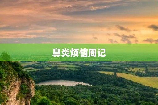 鼻炎烦恼周记 鼻炎烦恼周记