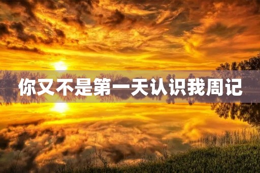 你又不是第一天认识我周记 你又不是第一天认识我周记