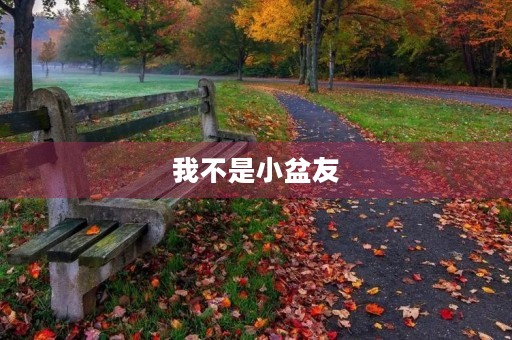 我不是小盆友 我不是小盆友