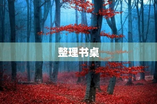 整理书桌 整理书桌