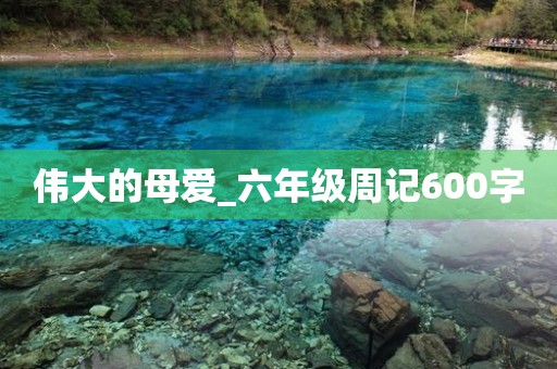 伟大的母爱_六年级周记600字